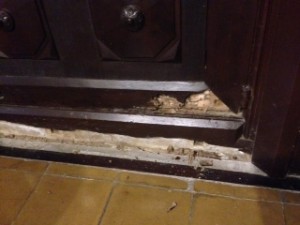 Nueva plaga de termitas en un puerta de madera muy antigua localizada por Termitas Barcelona