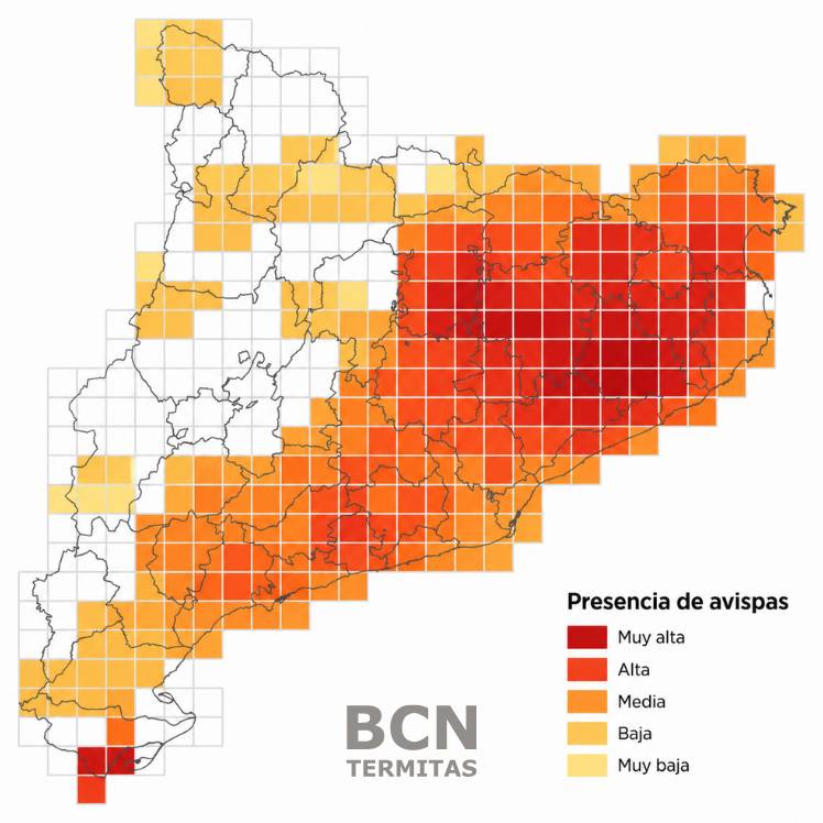 Nidos de Avispas en Primavera_ Elimínalos Ahora Antes del Verano - Mapa afectación en Catalunya