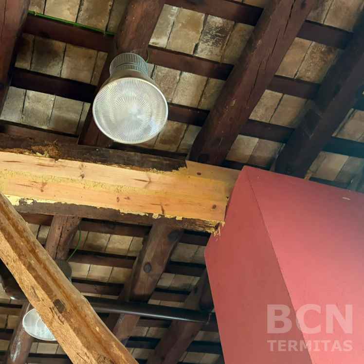 Viga Reparada Madera Nueva Techo Resultado Final - Barcelona Termitas