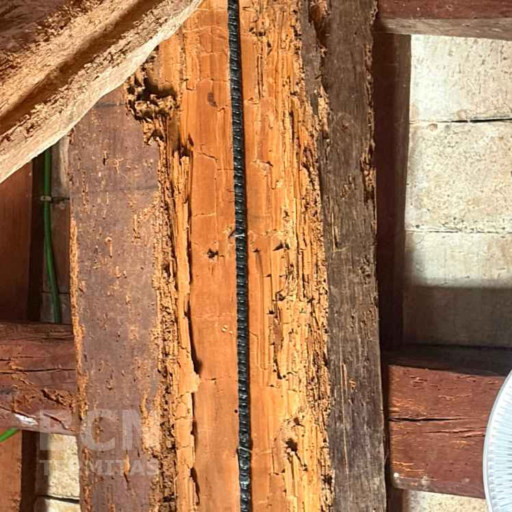 Viga Saneada Varilla Central Madera Termitas - Barcelona Termitas
