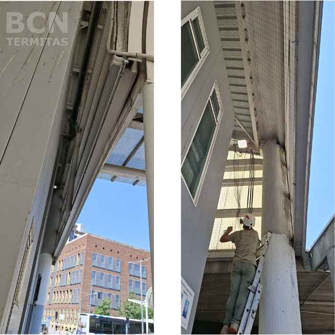 Barreras para control de aves - Barcelona Termitas En Granollers