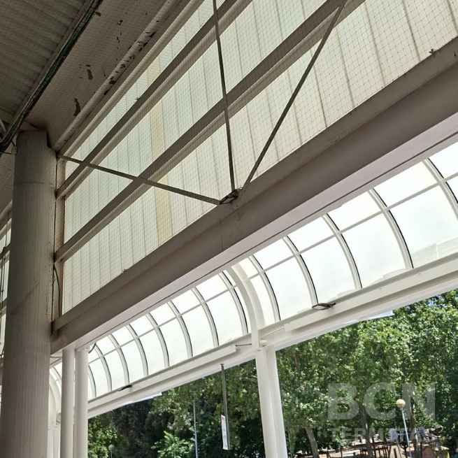 Protege tu edifició control de aves - Barcelona Termitas En Granollers