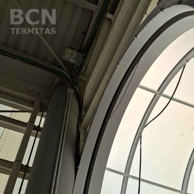 Protege una estación de autobuses control aves - Barcelona Termitas En Granollers