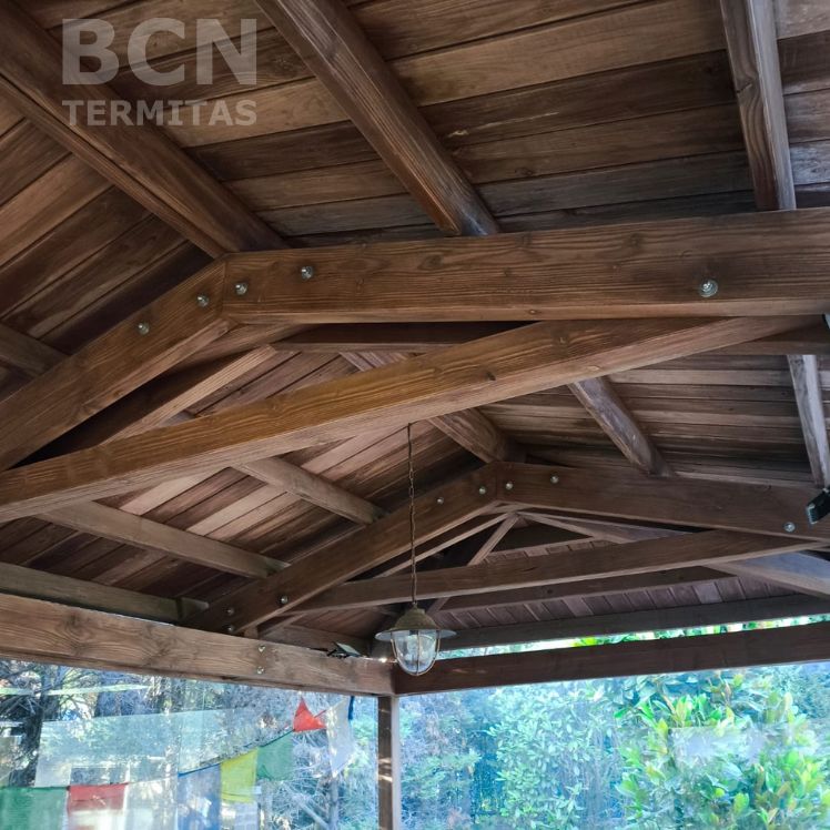 Lasur protección madera carcoma Barcelona Termitas
