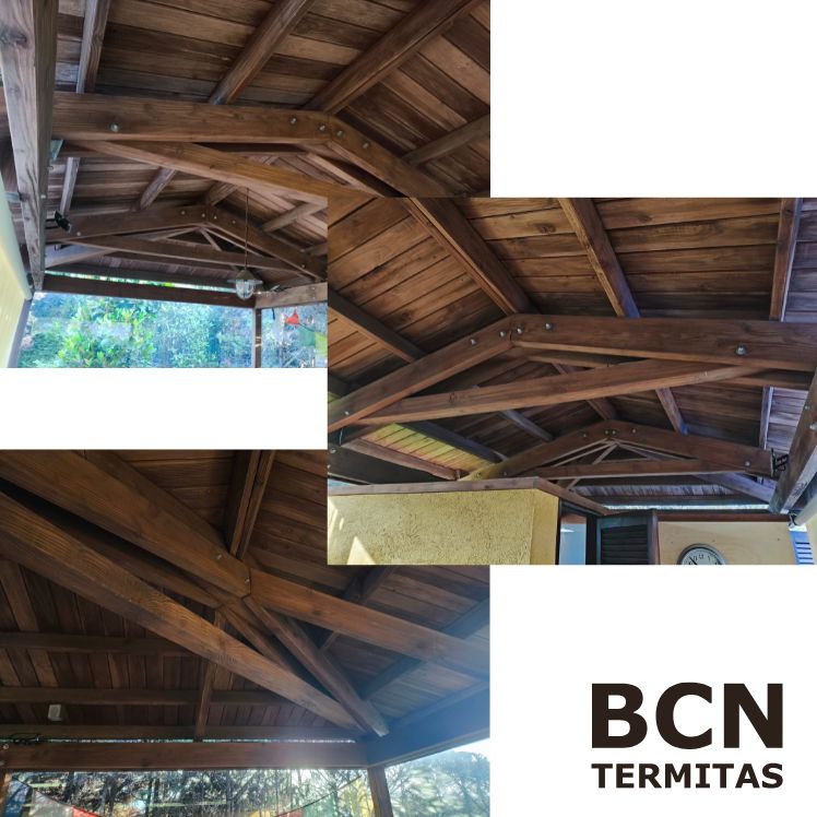 Lasur protección madera carcoma Barcelona Termitas
