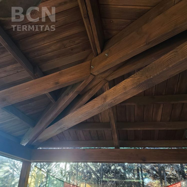 Pulido viga madera antes después Barcelona Termitas